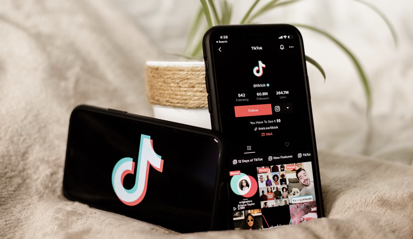 How to Get More Views and Go Viral on TikTok 